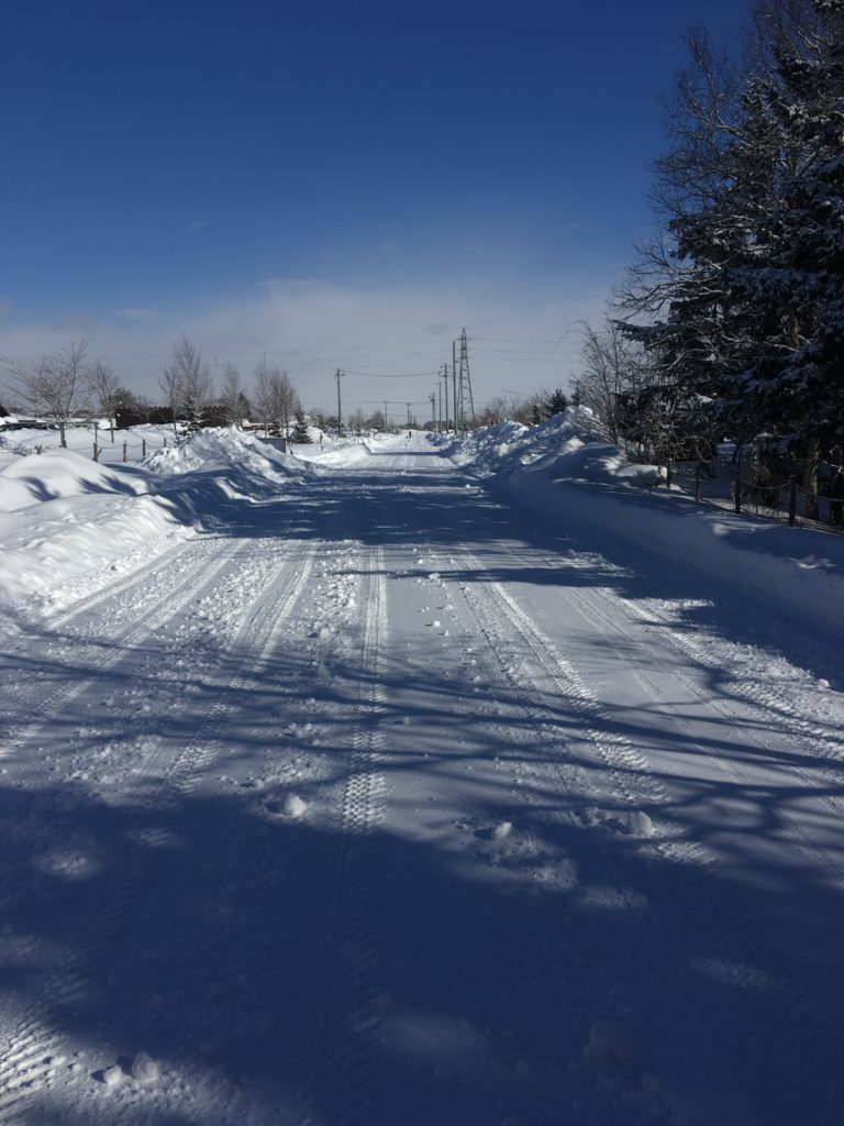 雪です一面の雪。