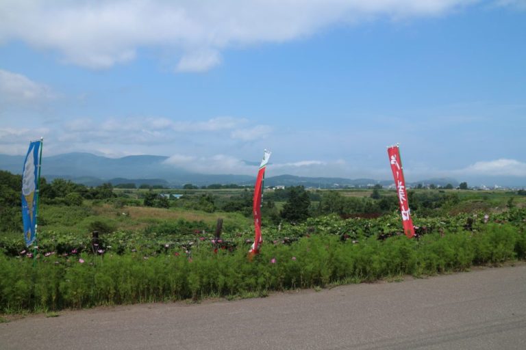 レンタカーで北海道内を観光するときでも比較的簡単に行くことができます